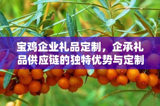 宝鸡企业礼品定制，企承礼品供应链的独特优势与定制之旅