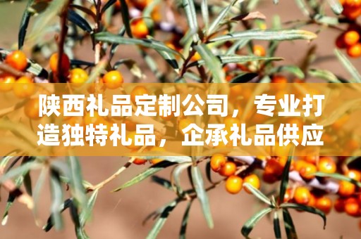 陕西礼品定制公司，专业打造独特礼品，企承礼品供应链引领行业新风尚