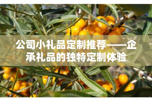 公司小礼品定制推荐——企承礼品的独特定制体验